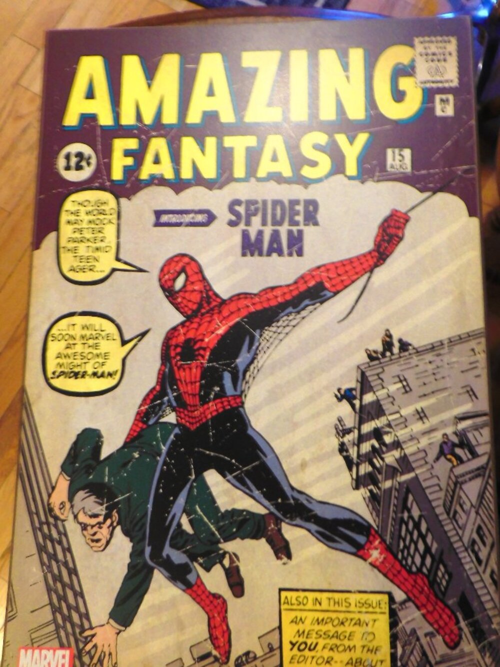 AUTHENTIC 2012 AMAZING FANTASY SPIDERMAN WOOD WALL DECOR